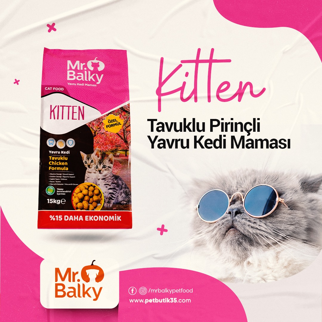 Yavru Kedi Maması Tavsiye PetButik35