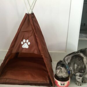 Happy Cat Tent Kedi Çadırı